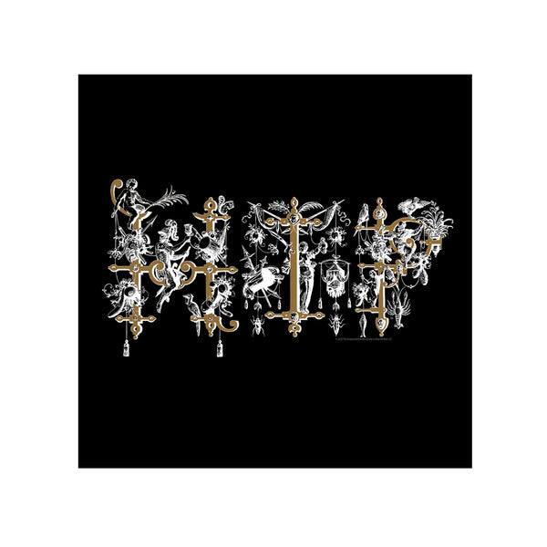 TTH Girls Spring Cropped T-Shirt